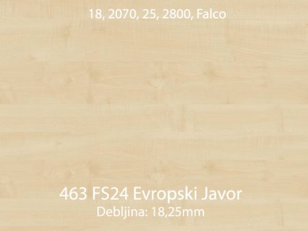 463 fs24 evropski javor jpg 1